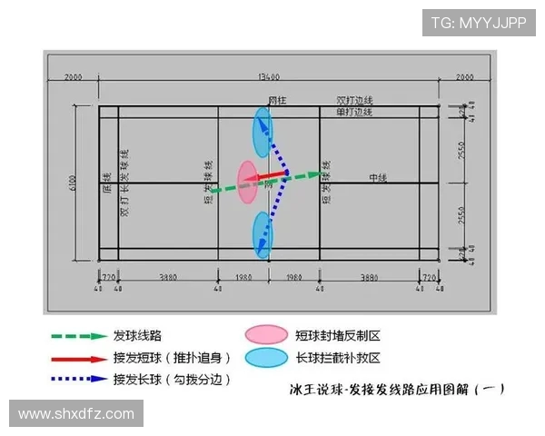 上海篮球队的独特节奏与战术分析探讨