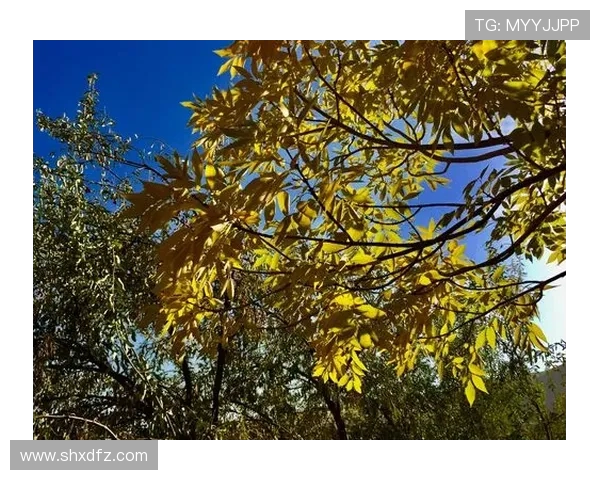 攀岩之路上的深度对话：杨军如何在挑战中寻找自我与激情