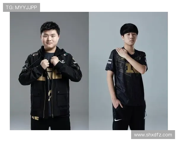 Viper射手全面解析带你深入了解战术定位与核心玩法技巧